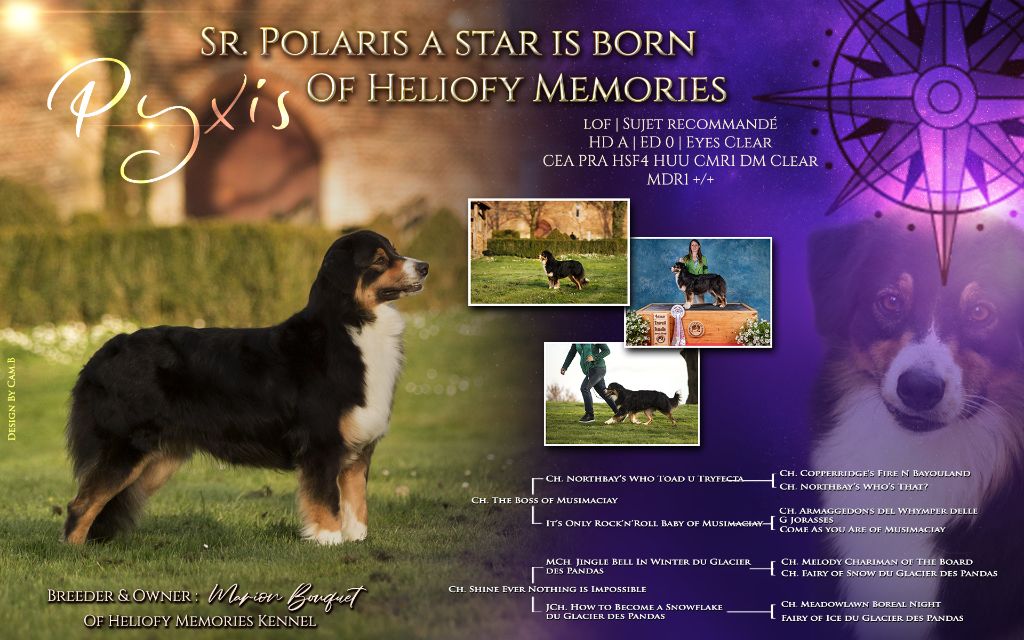 Polaris a star is born Of Heliofy Memories